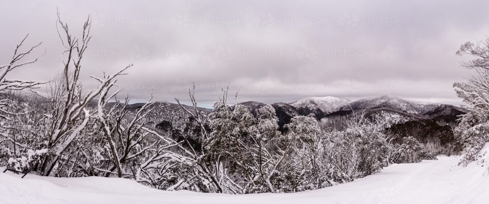 snowy mountain - Australian Stock Image