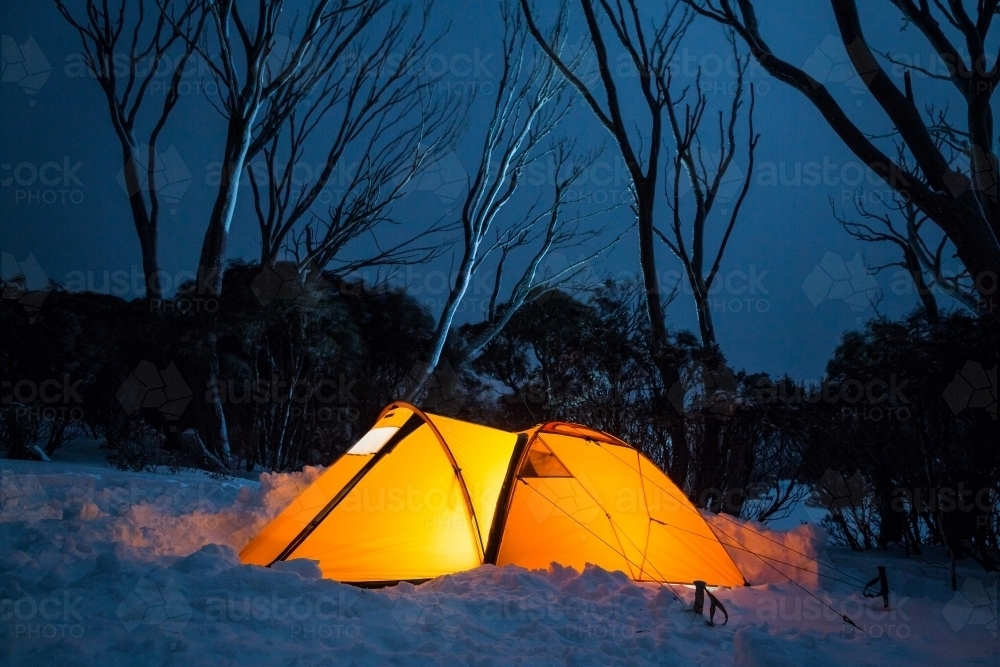 Snowy night scene with glowing tent and trees - Australian Stock Image