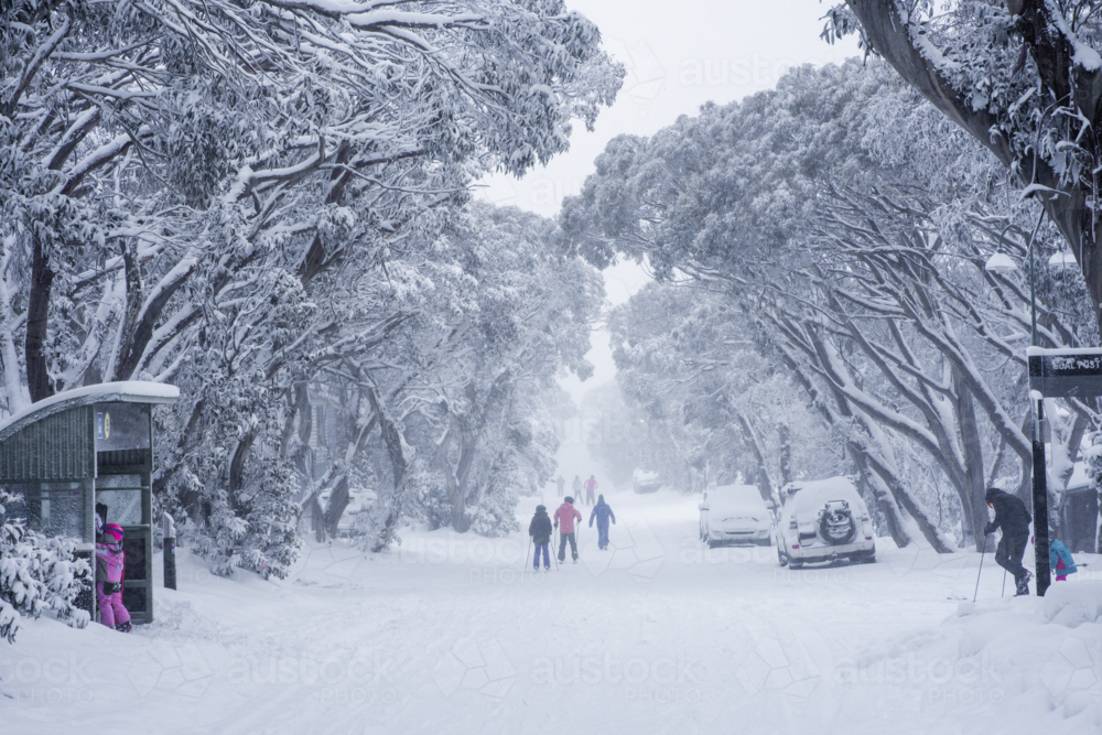 Snowy road and trees with people skiing - Australian Stock Image