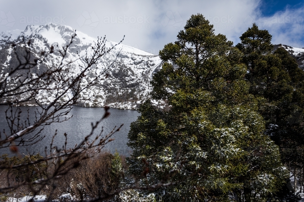 Snowy winter landscape - Australian Stock Image