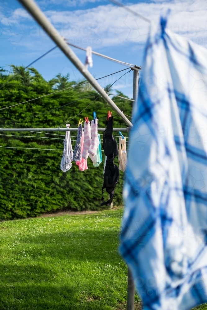 Image of Socks and underwear hung on Hills Hoist washing line