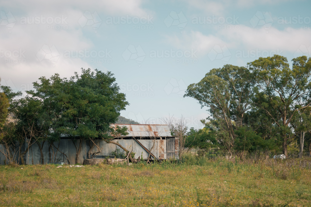 Soft blue sky over rural Australian landscape with rustic shearing shed - Australian Stock Image