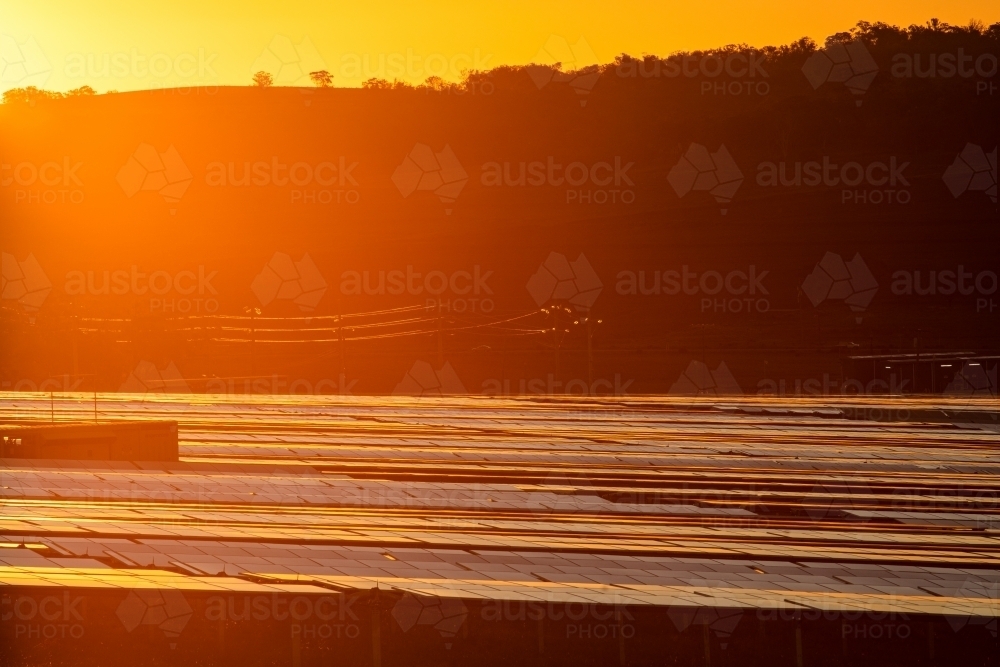 Solar farm panels reflecting the sunset colours - Australian Stock Image