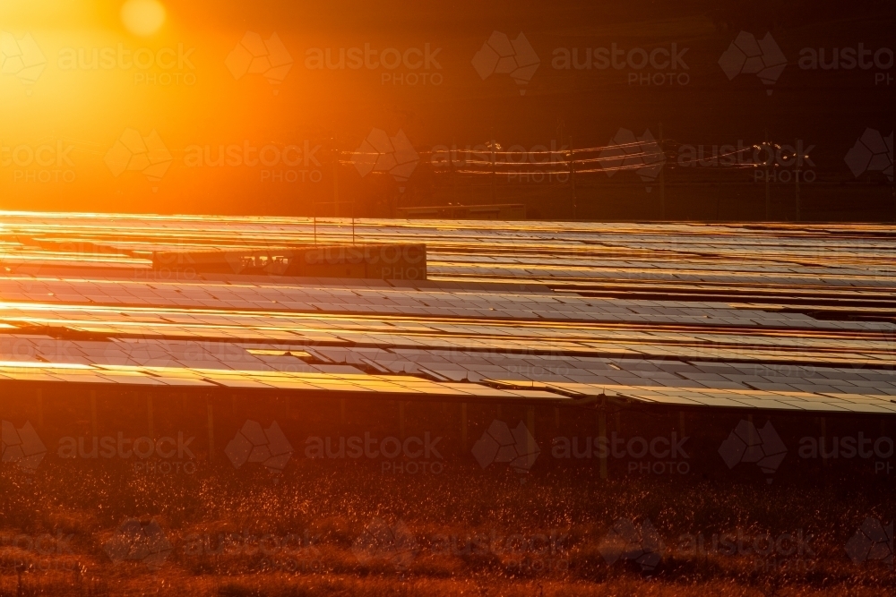 Solar farm panels reflecting the sunset colours - Australian Stock Image