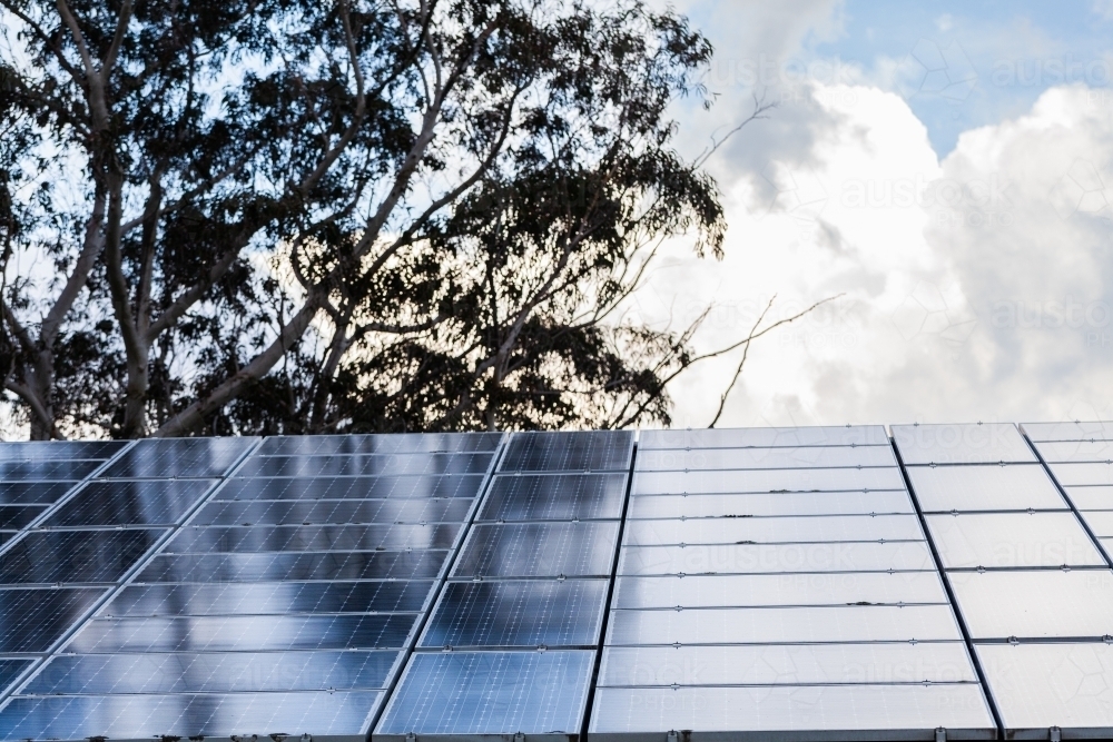 Solar panels on roof of information centre with gum tree and clouds behind - Australian Stock Image