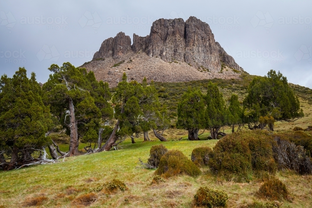 Solomons Throne and Pencil Pines - Walls of Jerusalem Nat. Park - Tasmania - Australian Stock Image