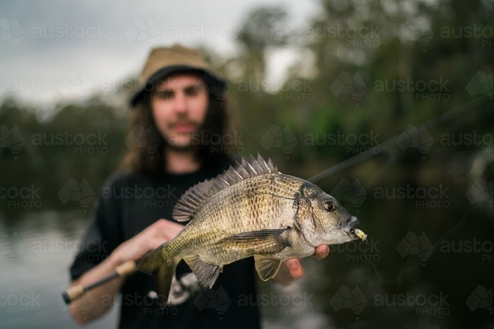 Southern Black Bream held by Angler - Australian Stock Image