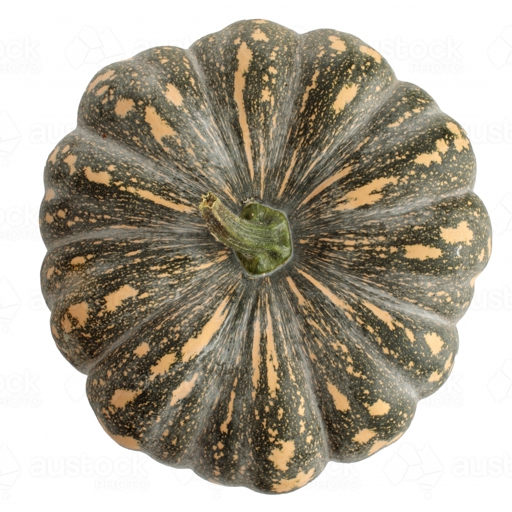 Speckled pumpkin on white background - Australian Stock Image