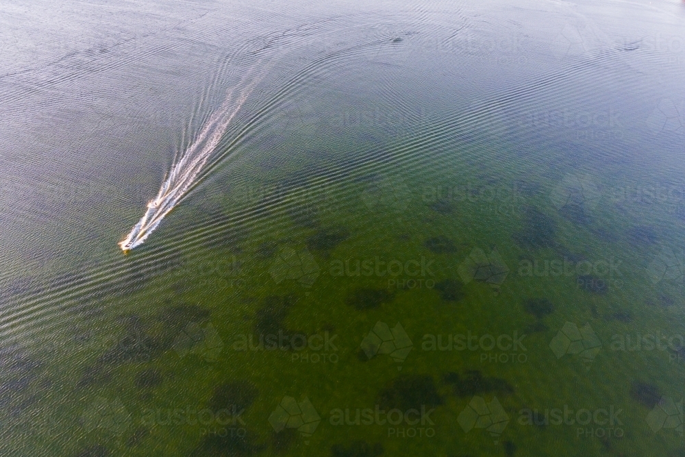 speedboat speeding across lake with weed visible on bottom of lake - Australian Stock Image