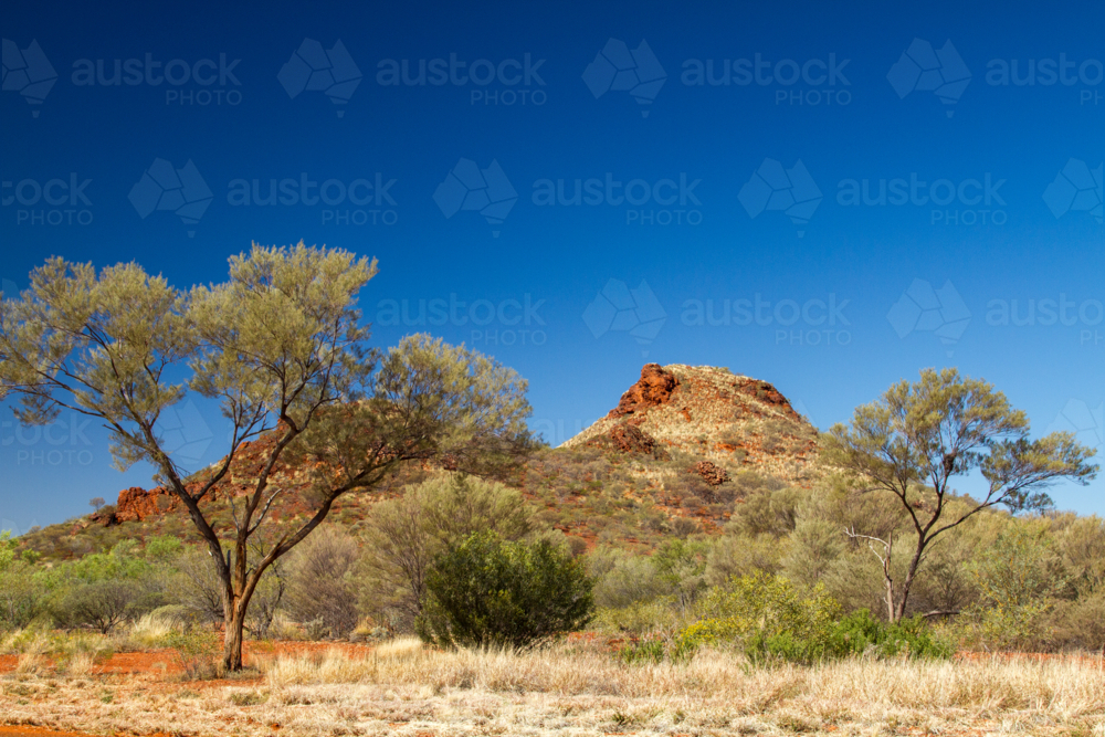 Spinifex and iron-rich hills in the Pilbara, Western Australia - Australian Stock Image