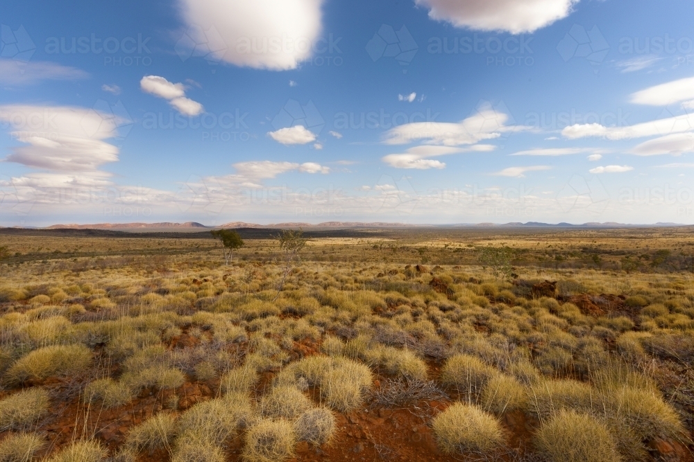 Spinifex country and blue sky with clouds - Australian Stock Image