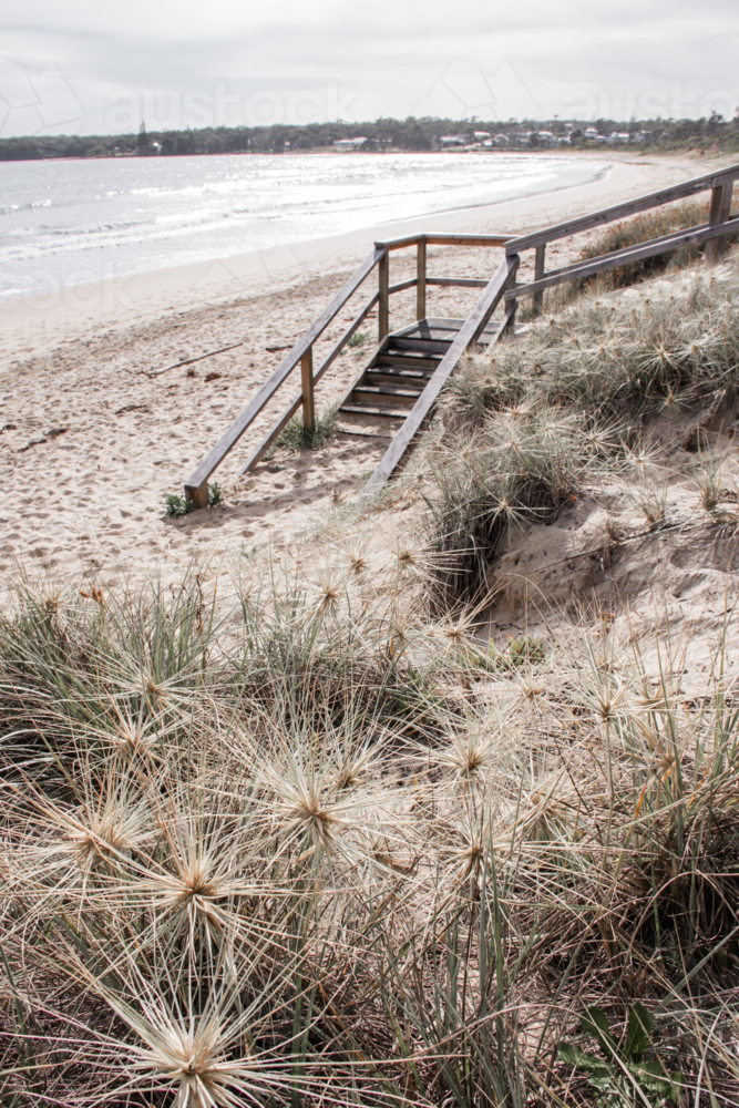 Spinifex on beach with steps in the background - Australian Stock Image