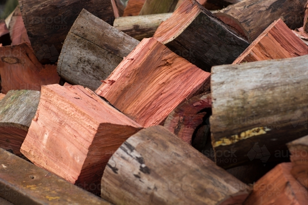 Split jarrah firewood logs - Australian Stock Image