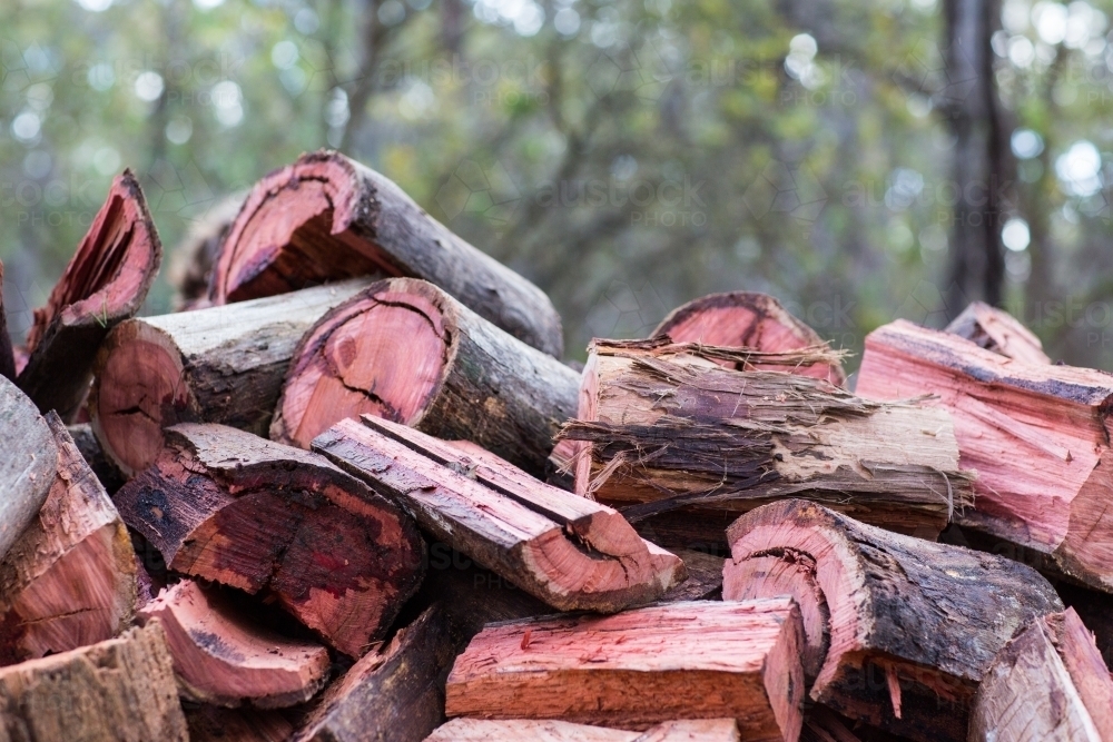 Split jarrah logs for firewood - Australian Stock Image