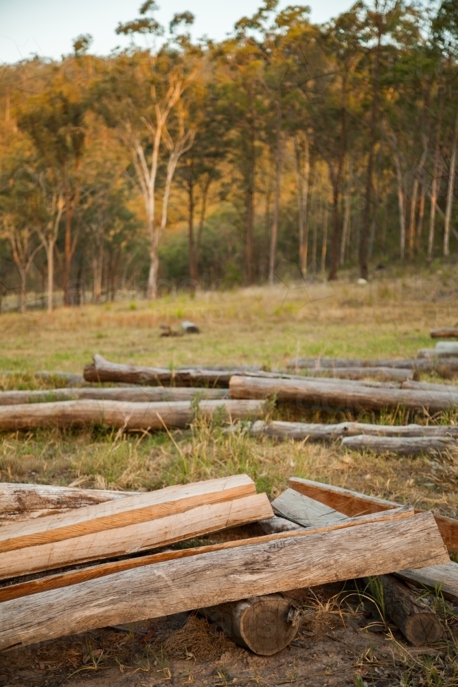 Split logs for fence posts on a farm - Australian Stock Image