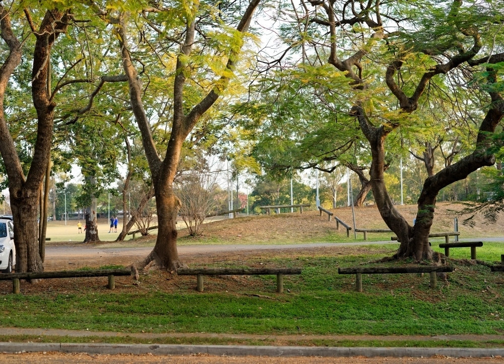 Sports field and trees along a street at a park - Australian Stock Image