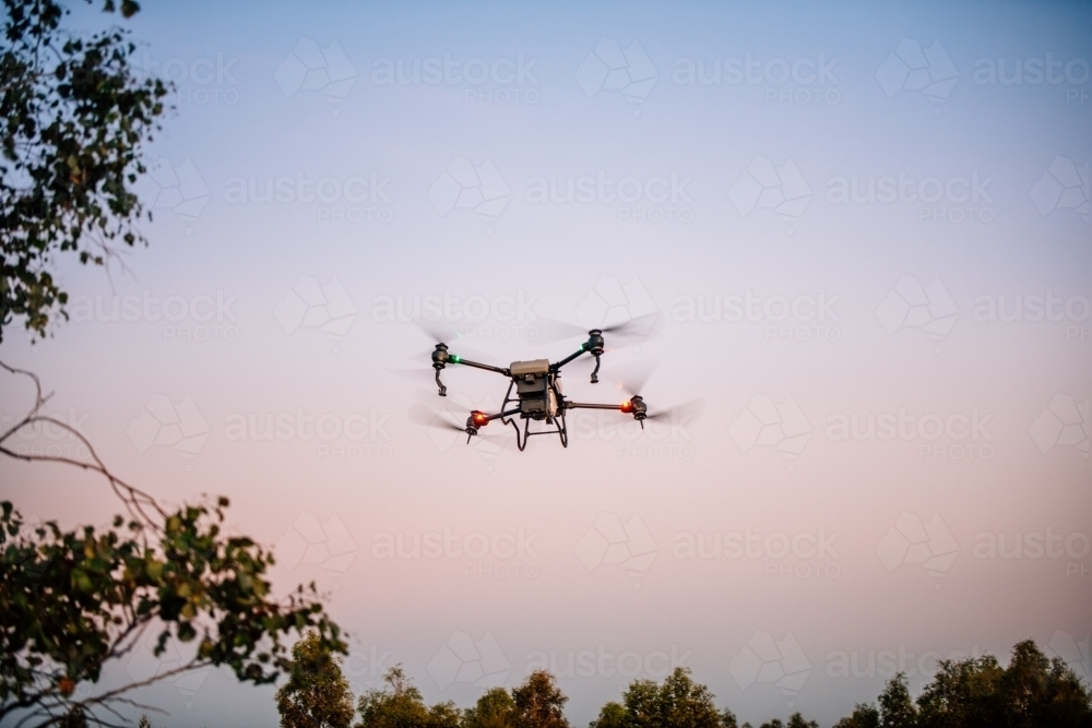Spray drone flying against pink and blue sky - Australian Stock Image