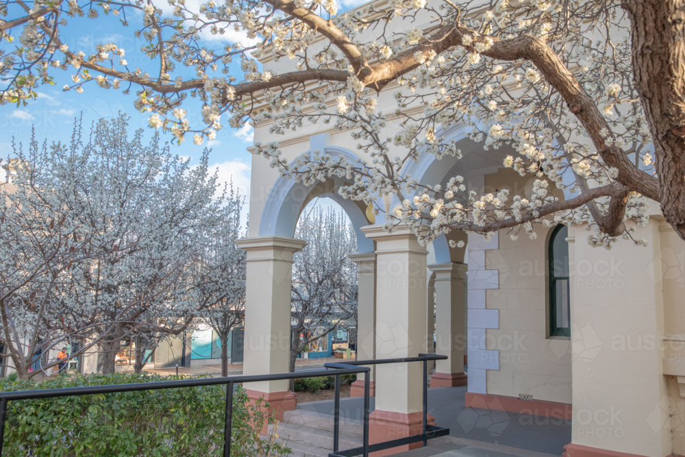 Spring blossoms and a small country town post office - Australian Stock Image