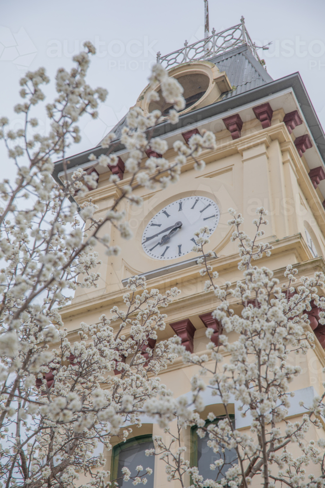 Spring blossoms and a small town post office building - Australian Stock Image