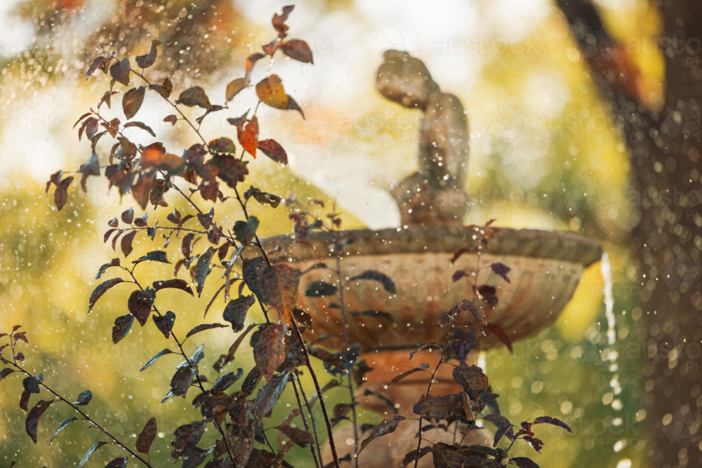 Sprinkler causing water spray from bird bath with statue in tranquil cottage garden - Australian Stock Image