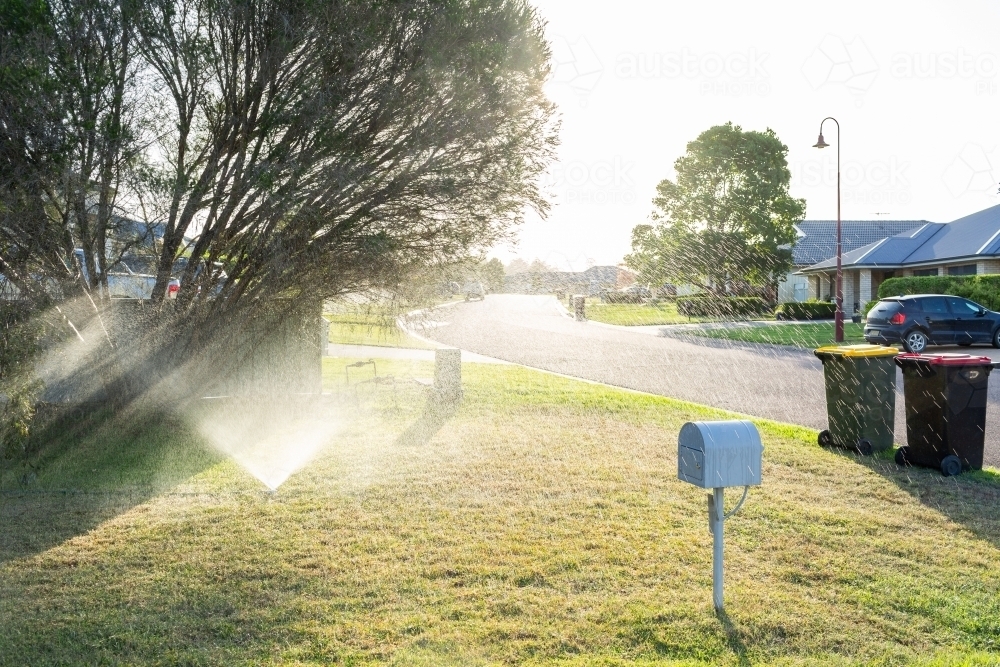 Sprinkler watering front yard of house on suburban street in summer - Australian Stock Image