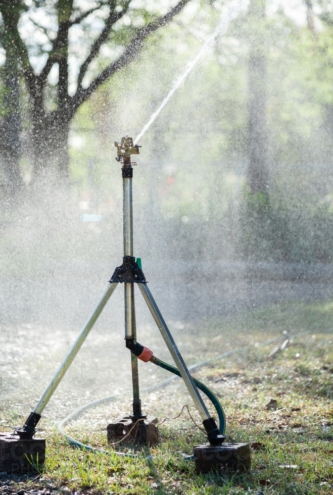 Sprinkler watering garden in the early morning level one water restrictions - Australian Stock Image