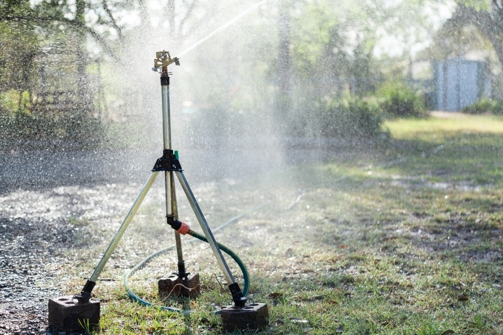 Sprinkler watering garden in the early morning level one water restrictions - Australian Stock Image
