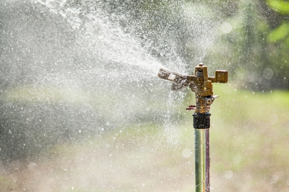 Sprinklers running high on a hot summers day - Australian Stock Image