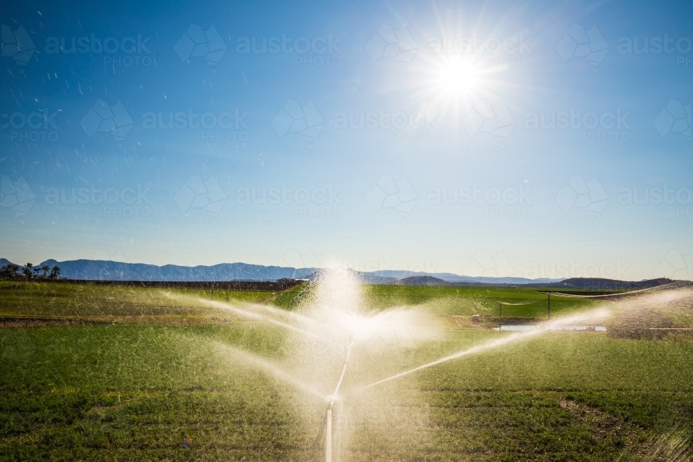 Sprinklers spraying water over a green field in Kalbar, Australia. - Australian Stock Image