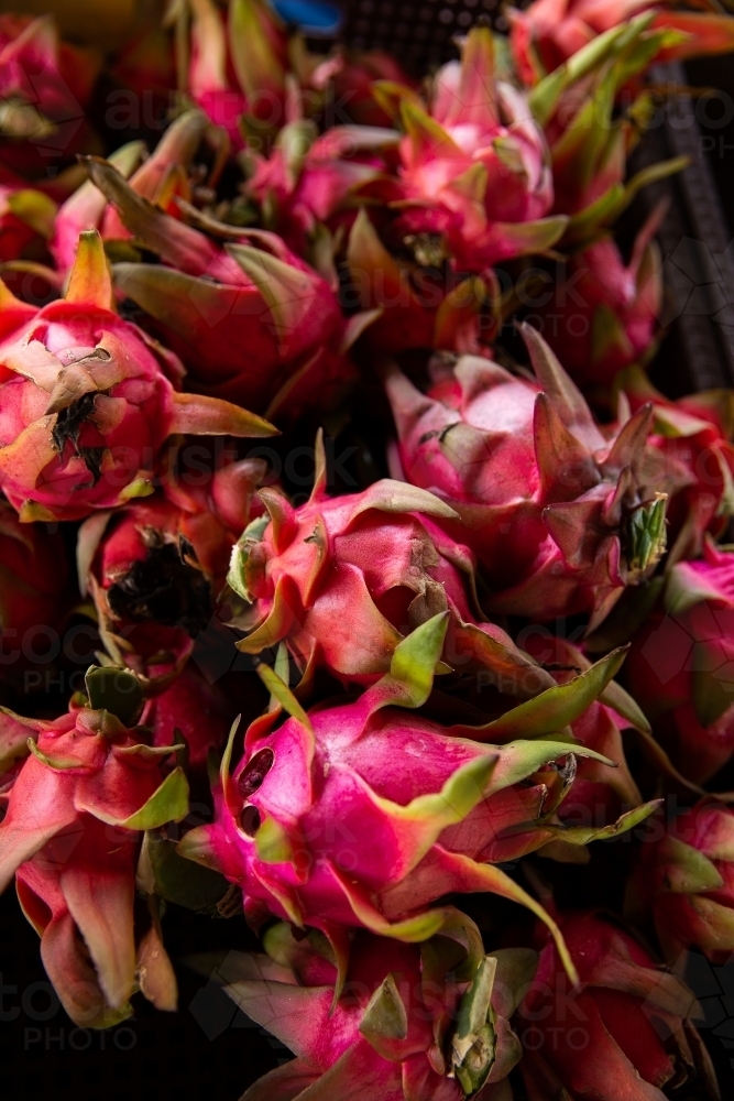 stack of red and purple dragonfruit - Australian Stock Image