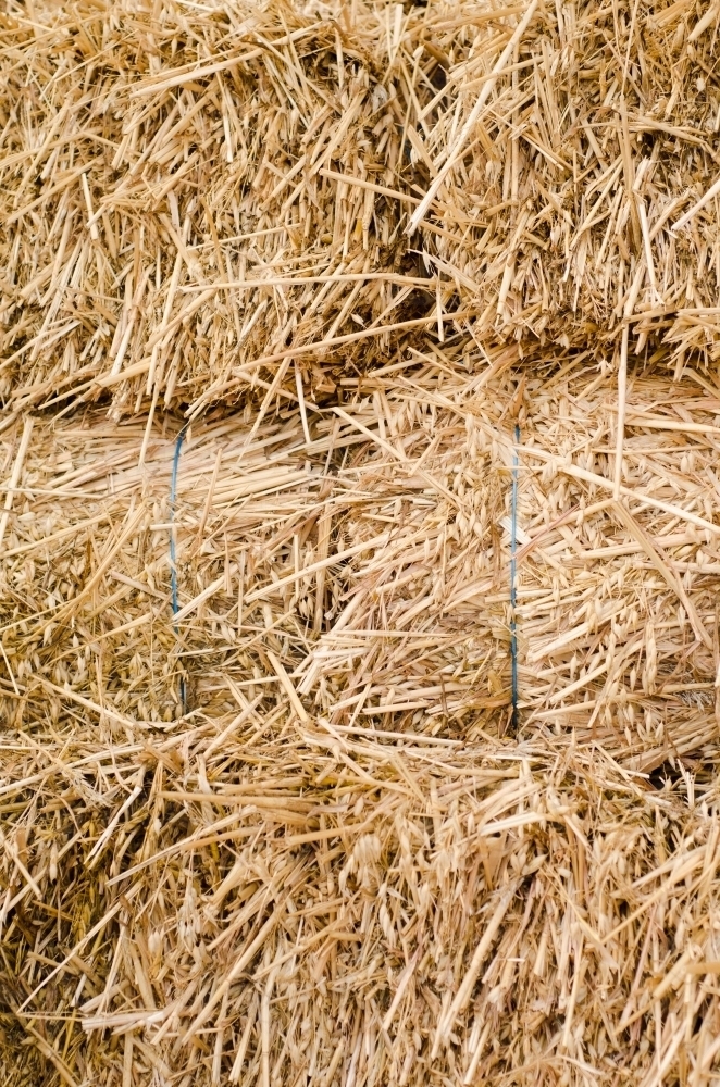 Stacked Bales of Straw : Austockphoto Stacked Bales of Straw - Australian Stock Image