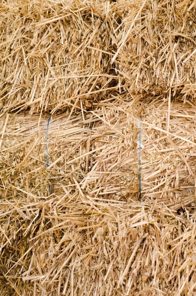 Stacked Bales of Straw - Australian Stock Image