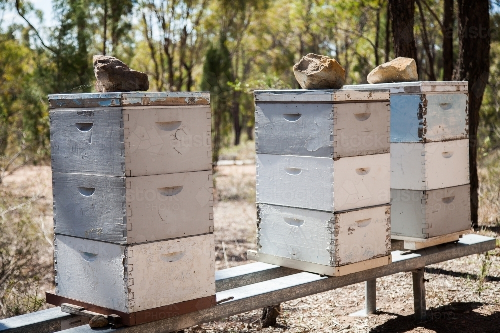 Stacked bee hives in aussie bush - Australian Stock Image