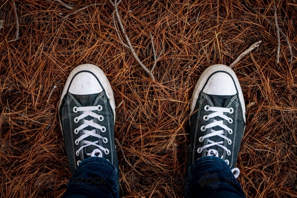 Standing in Old Sneakers on a Pile of Pine Needles - Australian Stock Image