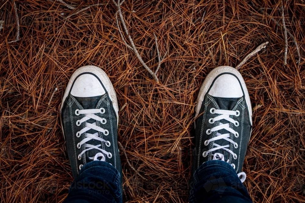 Standing in Old Sneakers on a Pile of Pine Needles - Australian Stock Image