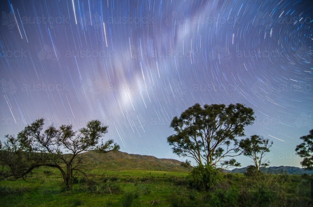 Star trails in the bush - Australian Stock Image