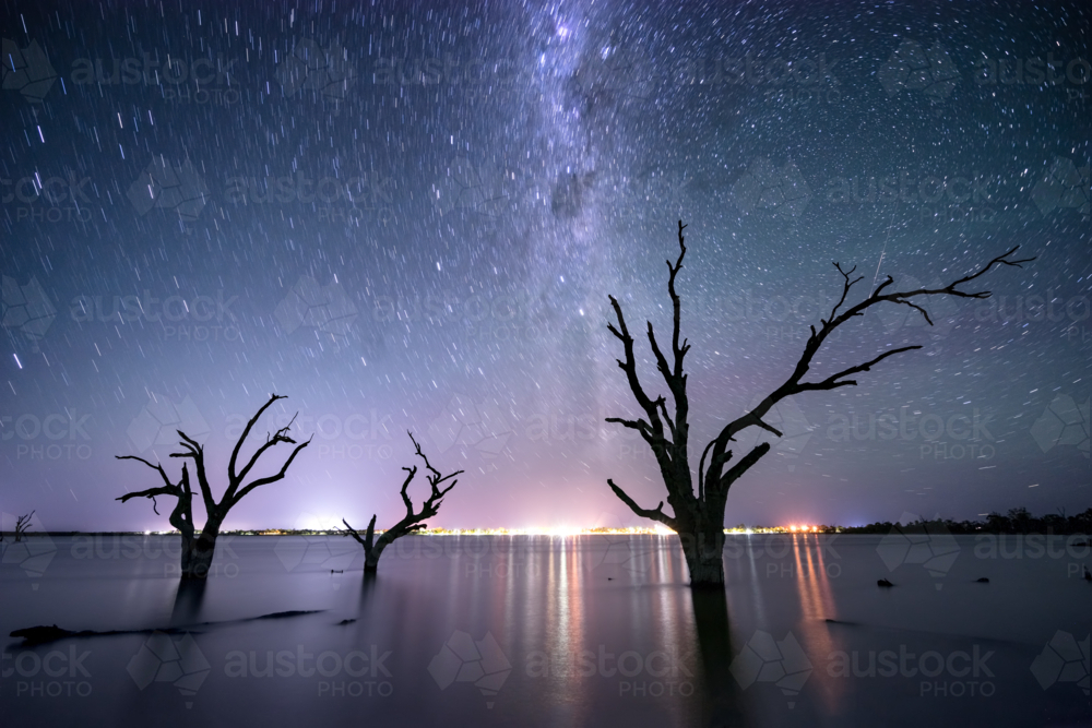 Star trails over ghostly trees rising from still waters in Lake Bonney - Australian Stock Image