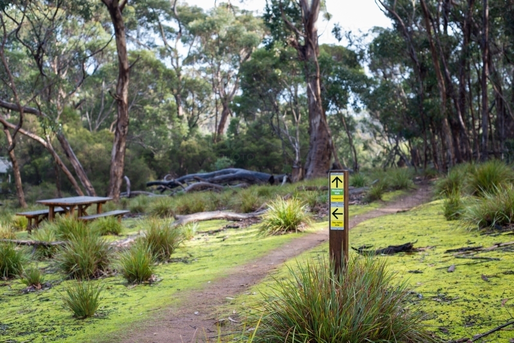 Start of bushwalking track with picnic table - Australian Stock Image