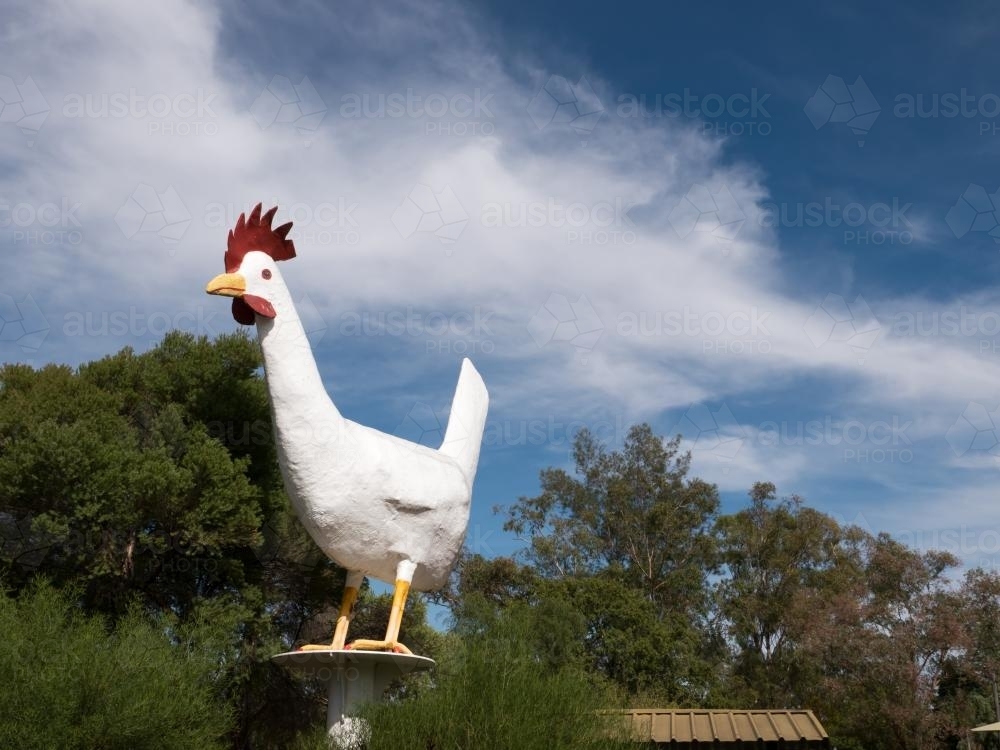 Statue of Big Chook against blue sky - Australian Stock Image