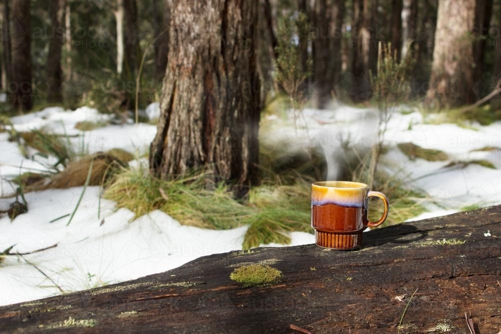 Steaming mug on a log in the snow - Australian Stock Image