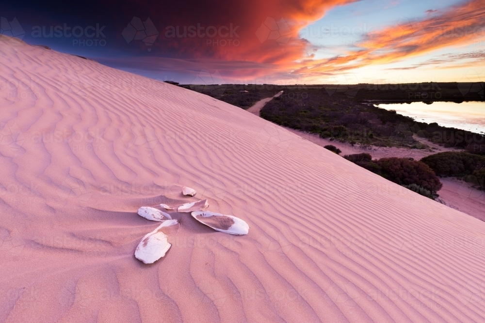 Steep rippled sand dunes with cuttlefish bone at sunset - Australian Stock Image