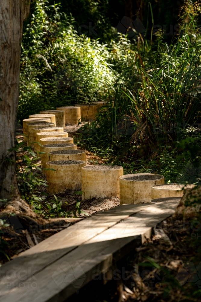 stepping stones in the rainforest - Australian Stock Image
