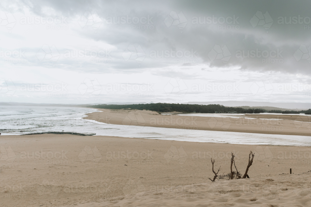 Sticks in beach landscape - Australian Stock Image