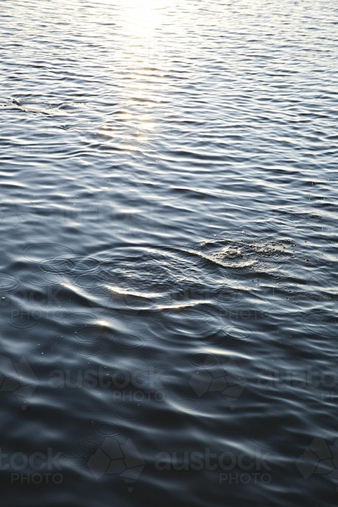 Still water and ripples of the snowy river estuary - Australian Stock Image