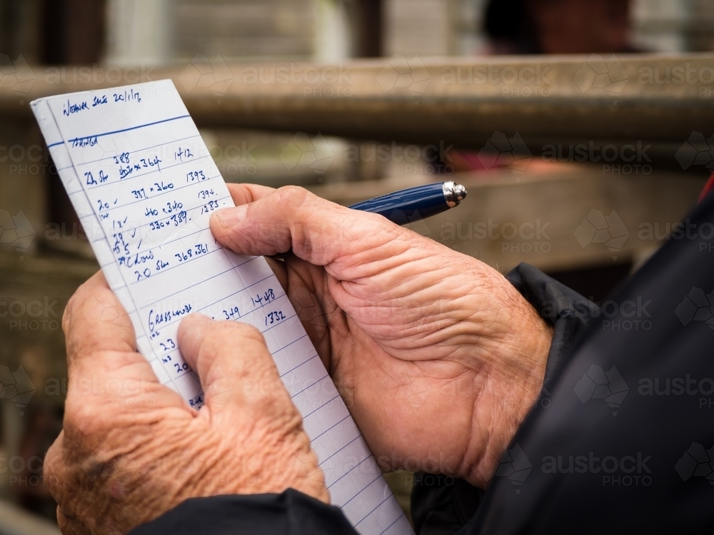 Stock agent and his notes for the day at the cattle sale - Australian Stock Image