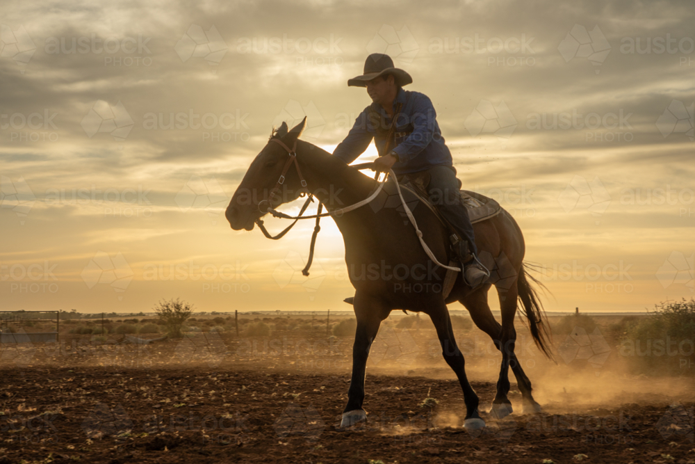 Stockman riding a horse in front of the sunrise, kicking up dust - Australian Stock Image