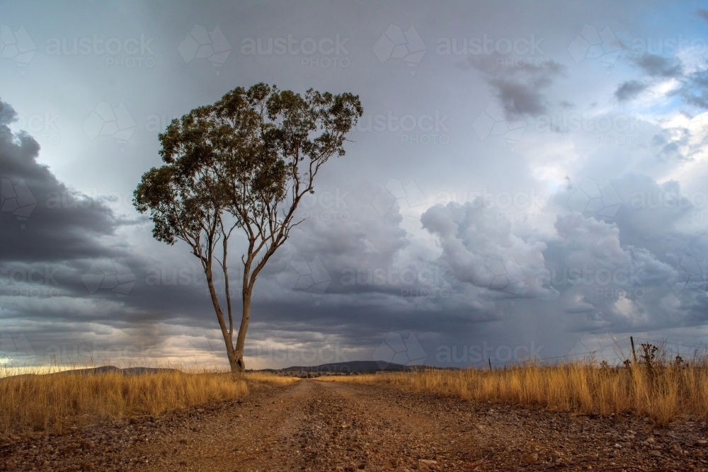 Storm coming along Australian country dirt road. - Australian Stock Image