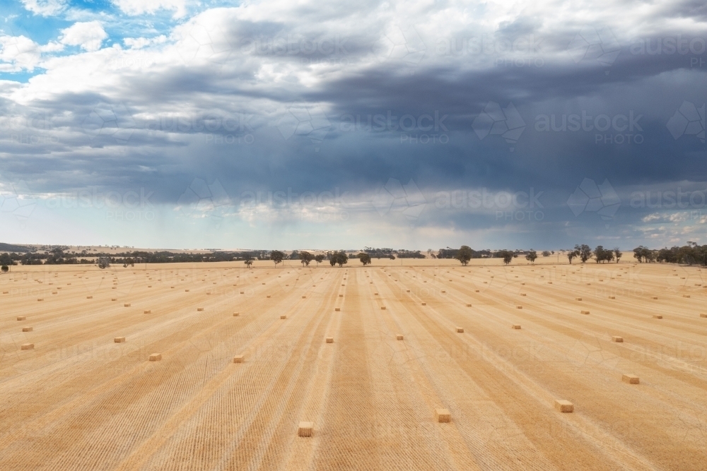 Stormy skies over paddock with hay bales - Australian Stock Image