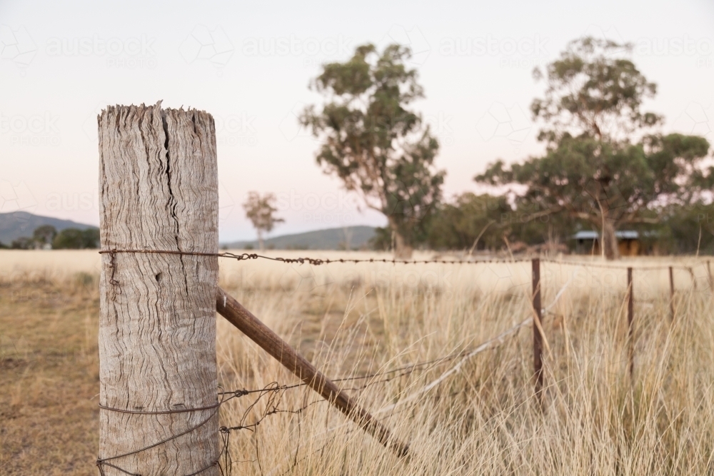 Image of Strainer fence post in long grass on farm Austockphoto