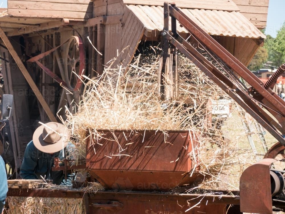 Straw being fed into an antique baler - Australian Stock Image